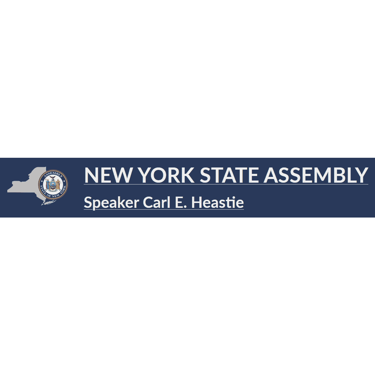 nys-assembly1